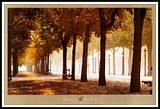 spring-13.jpg image by shutterbug_1029