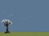 spring-14.jpg image by shutterbug_1029