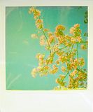 spring-2.jpg image by shutterbug_1029