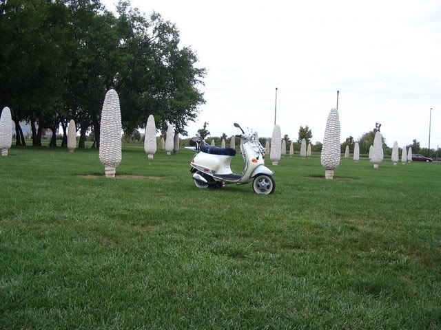 External inline image provided by member with no explanatory text