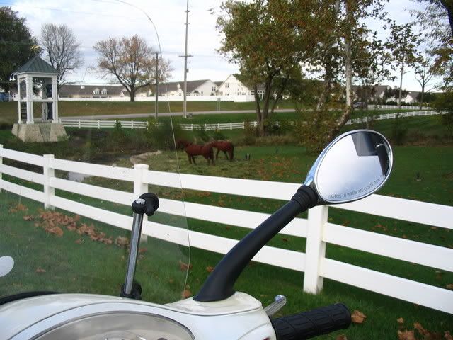 External inline image provided by member with no explanatory text