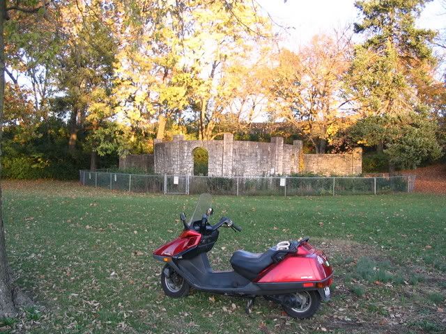 External inline image provided by member with no explanatory text
