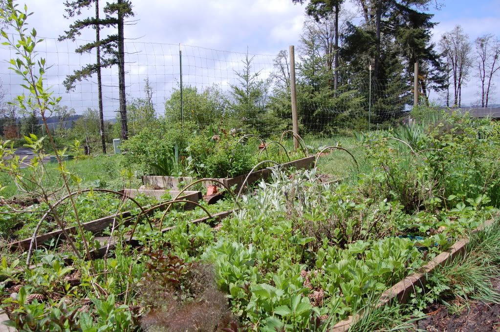 garden types - Gardening & Plant Propagation