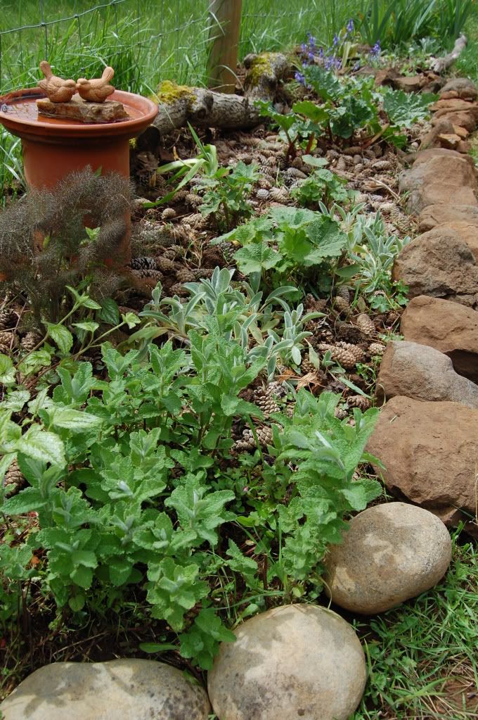 garden types - Gardening & Plant Propagation