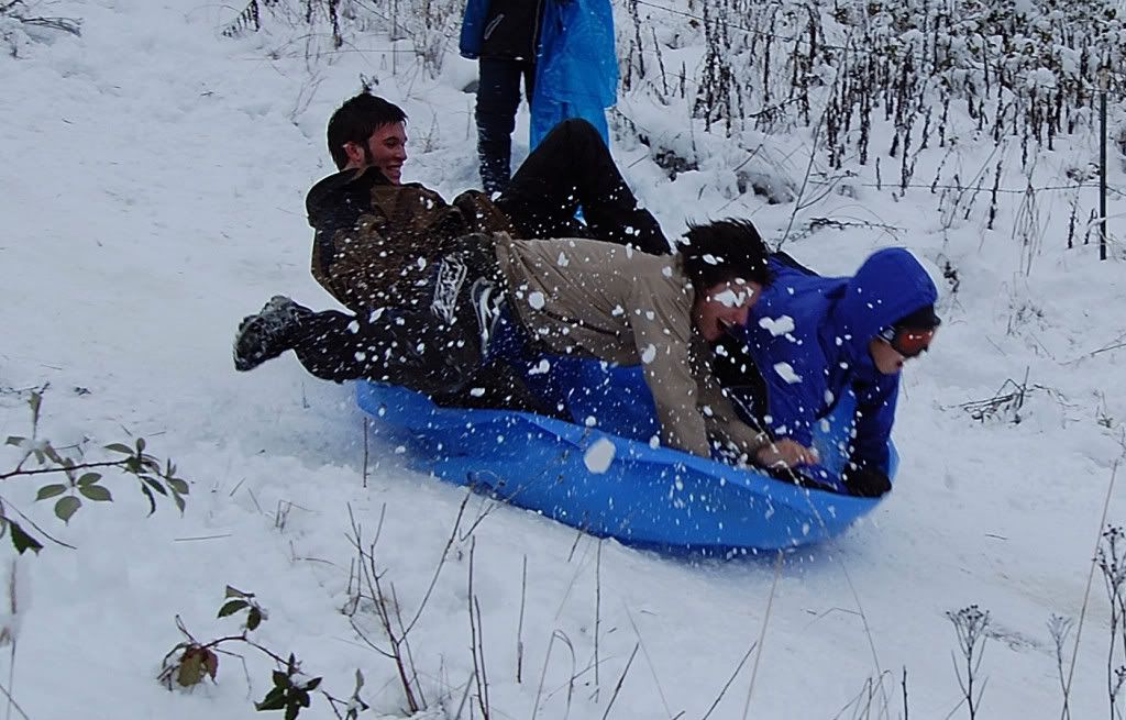sled to haul wood questions - Homesteading Questions