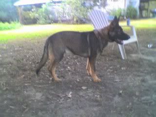 10-14-07_1813.jpg picture by yourgoddess909