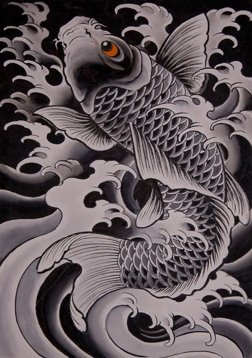 Chris Garver's KOI Pictures, Images and Photos