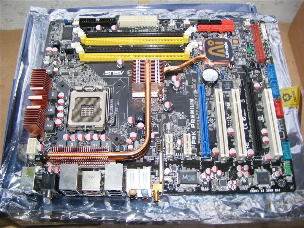 NC100005.jpg