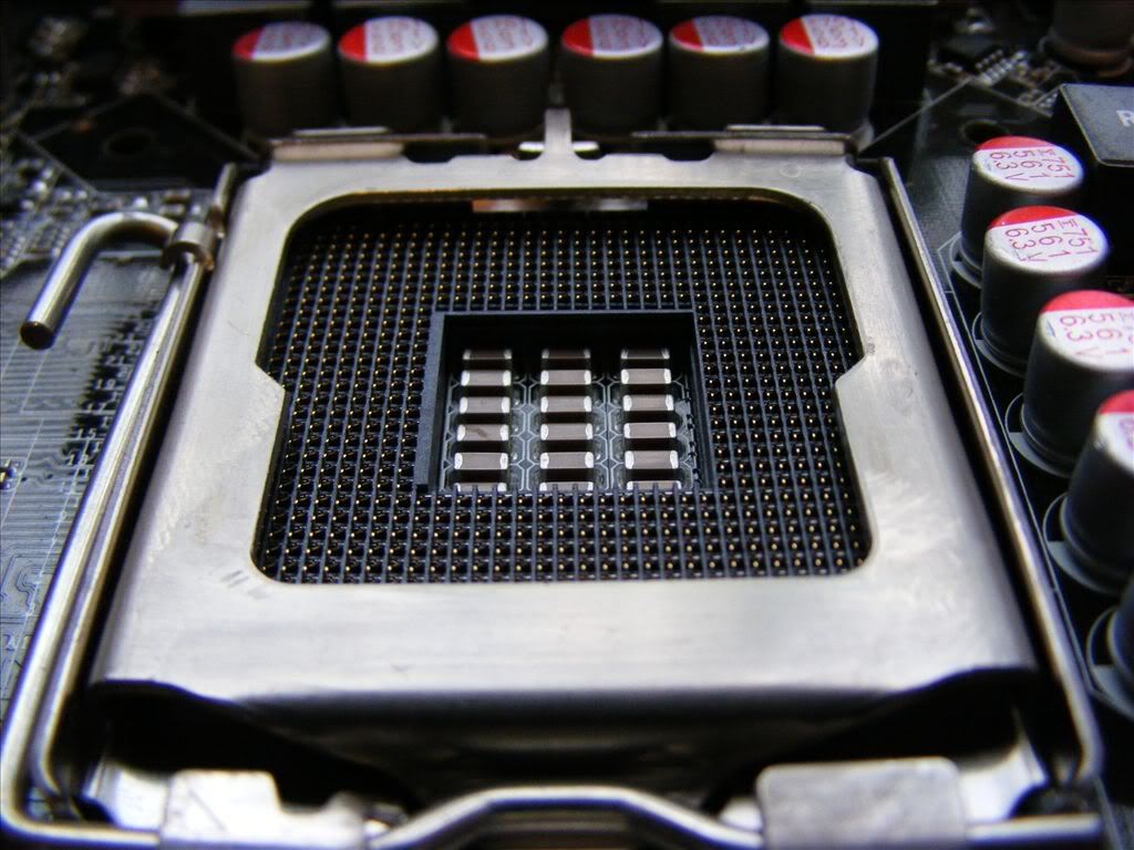 NC100020.jpg