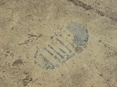 neil armstrong footprint,Honeysuckle Creek