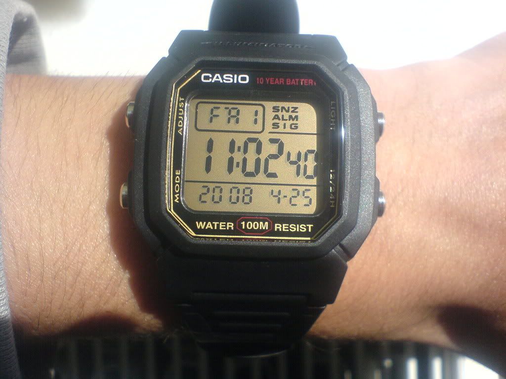 casio 800