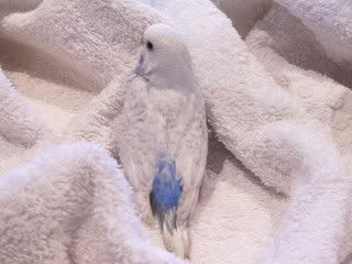 100_4414.jpg