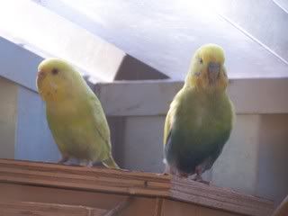 100_4424.jpg
