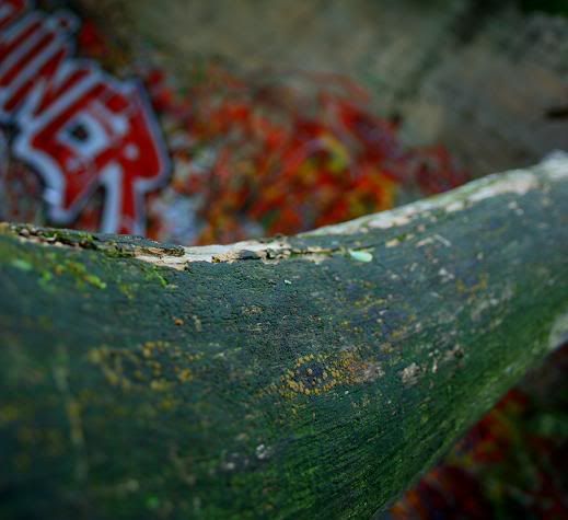 IMAGE: http://i205.photobucket.com/albums/bb319/EveeSTi/Hampden%20Park/IMG_0234_20.jpg