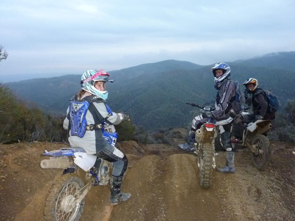 P1030396.jpg