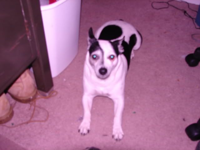 DSC02304.jpg