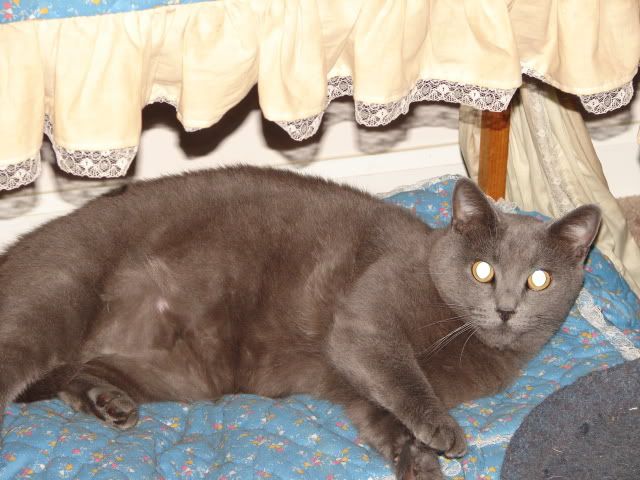 DSC02333.jpg