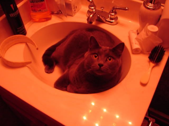 DSC02470.jpg