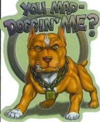 dog Pictures, Images and Photos