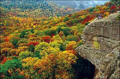 Ozarks.jpg Beautiful Ozark Mountains in Fall Color image by rockyhollowlodge