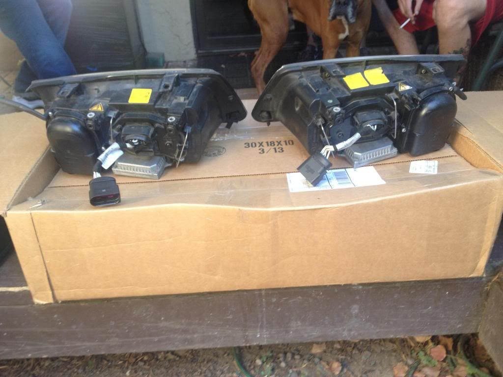 OEM HID MKIV Jetta headlights VW Vortex Volkswagen Forum