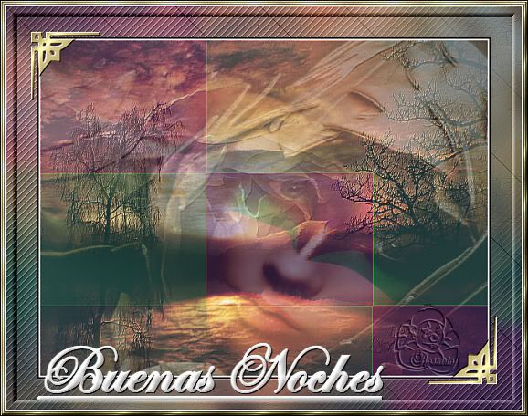 03-BuenasNoches.jpg Buenas Noches image by Arica_bucket