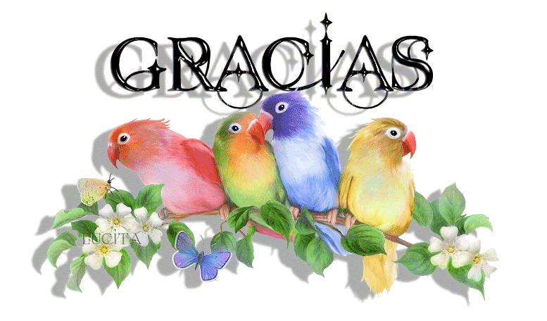 pajaros-1.gif picture by DRAGONFLY_photos_2007