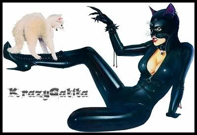 catwoman5Fcrazygatita2Dvi.jpg picture by DRAGONFLY_photos_2007