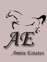Amira Estates Avatar