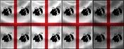 Shield_sardinia.jpg