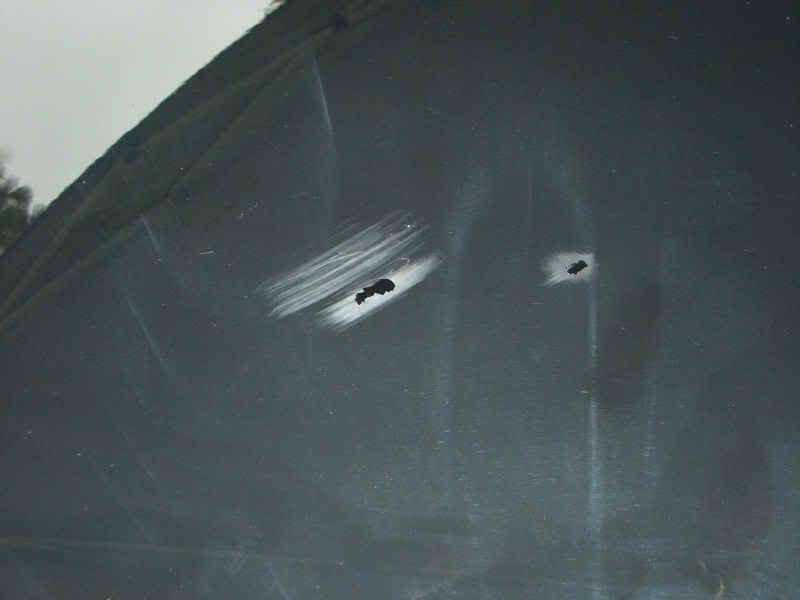 Blackhood2.jpg