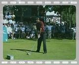 tiger woods swing sequence. tiger woods swing analysis.