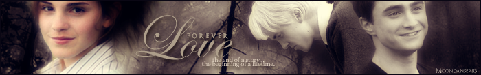 foreverlovebanner.png Forever Love Banner picture by princesspisces83