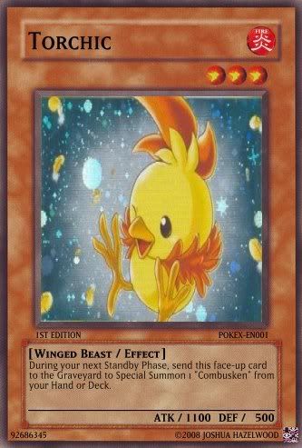 001Torchic.jpg