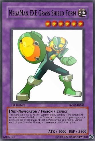 006MegaManEXEGrassShieldForm.jpg