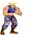 Guile-1.gif