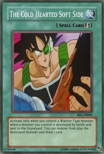 TheColdHeartedSoftSide.jpg