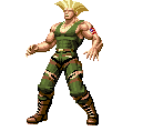 svc_guile_gd.gif