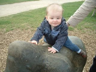 DSCF0243.jpg