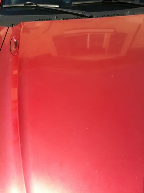 36c81401.jpg