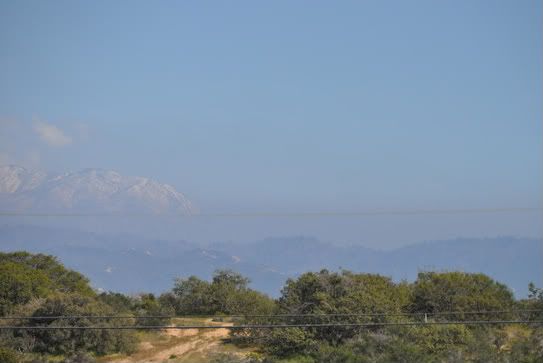 smog