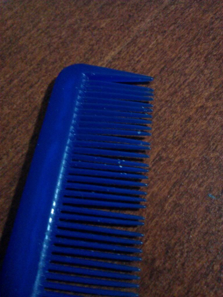 CAM01674.jpg
