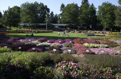 Photo Shoot At CSU Floral Gardens